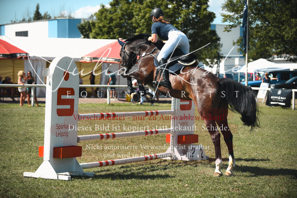 DSC_7002 | Pferde- und Turnierfotografie in Westsachsen. Pferdeportraits, Auftragszeichnungen und intuitive Kunst.