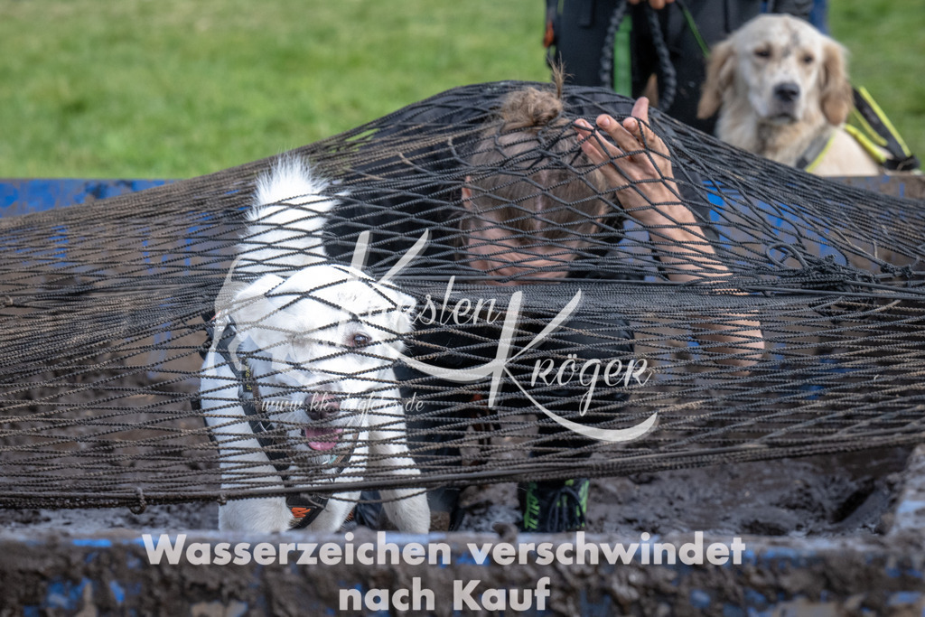 1404_ZZ90695 | kk-dogfotos
