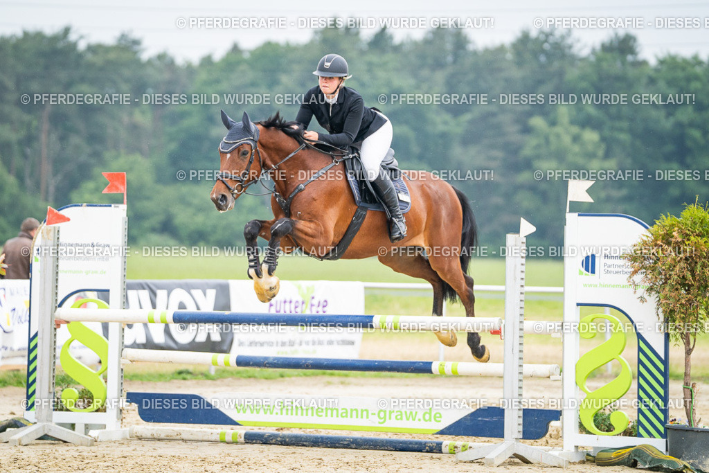 DSC00471 | Pferdegrafie