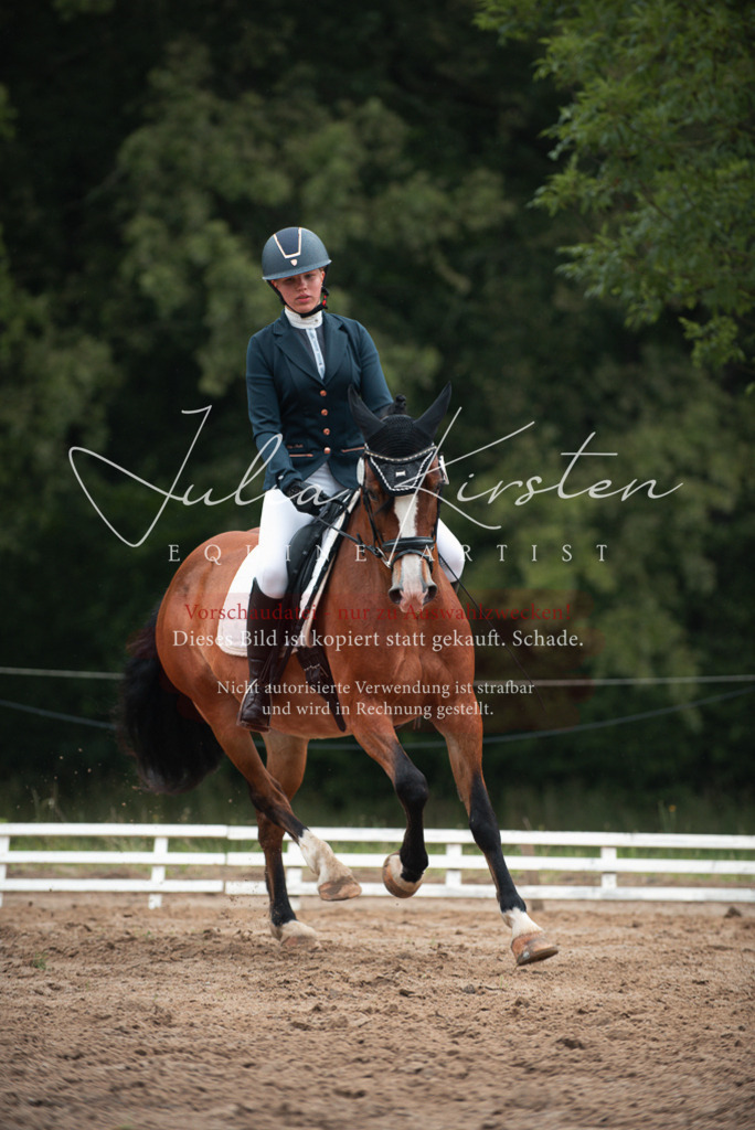 DSC_9835 | Pferde- und Turnierfotografie in Westsachsen. Pferdeportraits, Auftragszeichnungen und intuitive Kunst.