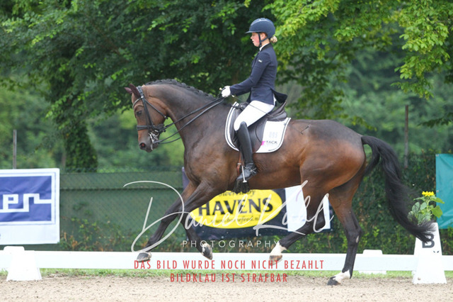 DKP40012 | Turniersportfotografie; Pferdefotografie; Dressurfotografie