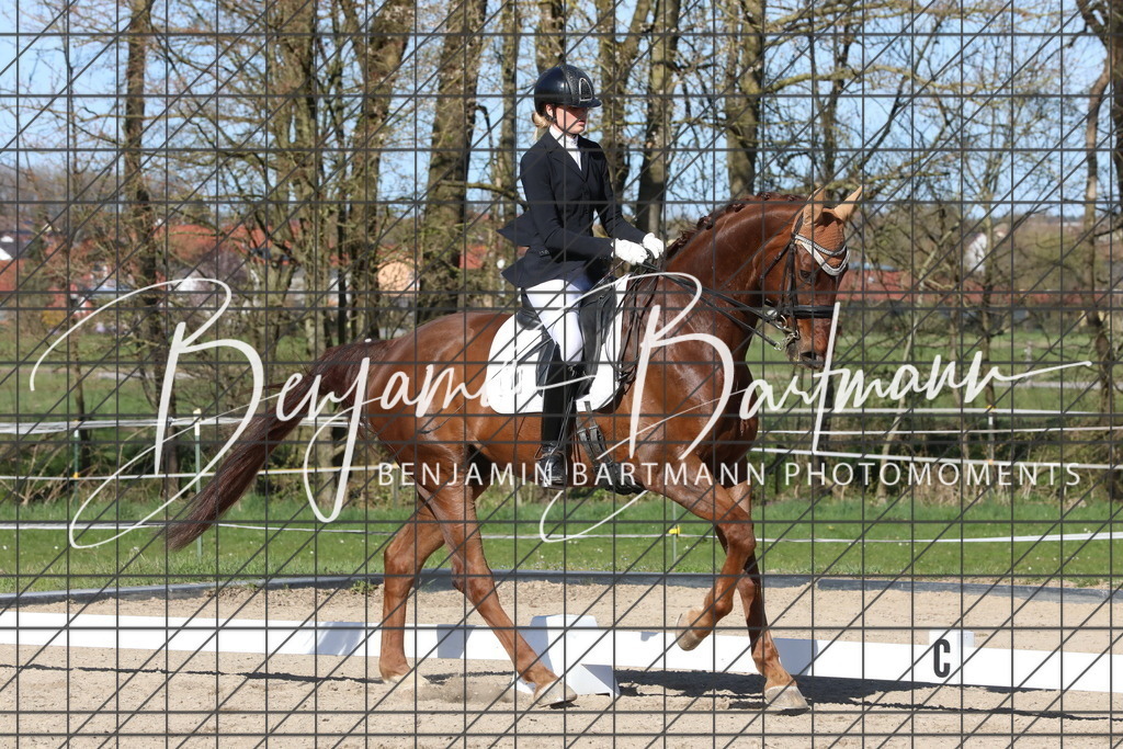 AZ2A5134 | Benjamin Bartmann Photomoments