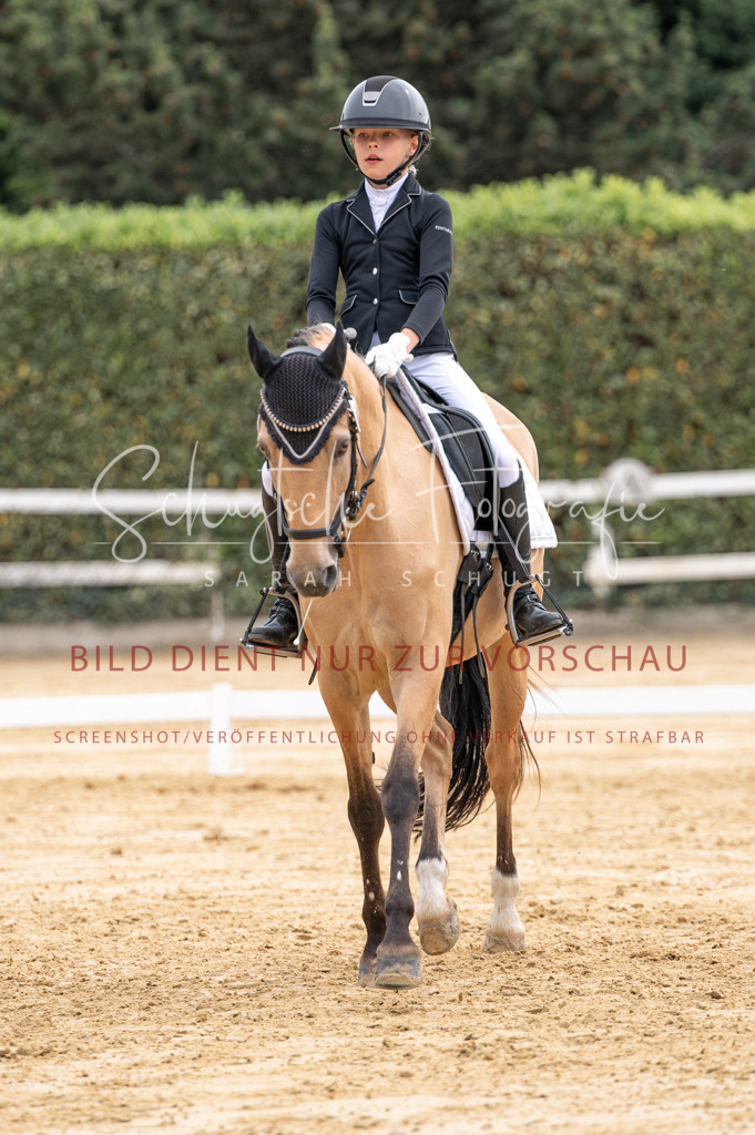 Schugtsche-Aluta25-40.DressurprfA_-329 | Schugtsche Fotografie - Realisiert mit Pictrs.com