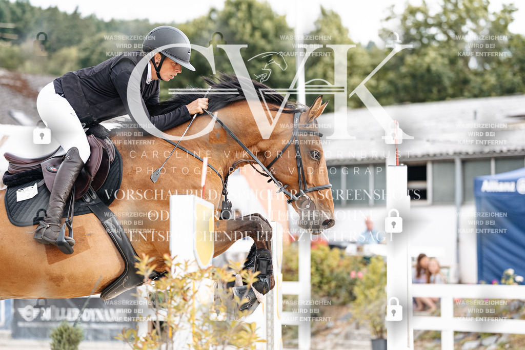 CK902922 | Turnierfotografie Pferdefotografie Trier Rheinland-Pfalz Pferdesport Reitsport Tierfotografie Sportfotografie Pferdevideo Pferdevideografie Equestrianvideography equestrianphotography  - Realisiert mit Pictrs.com