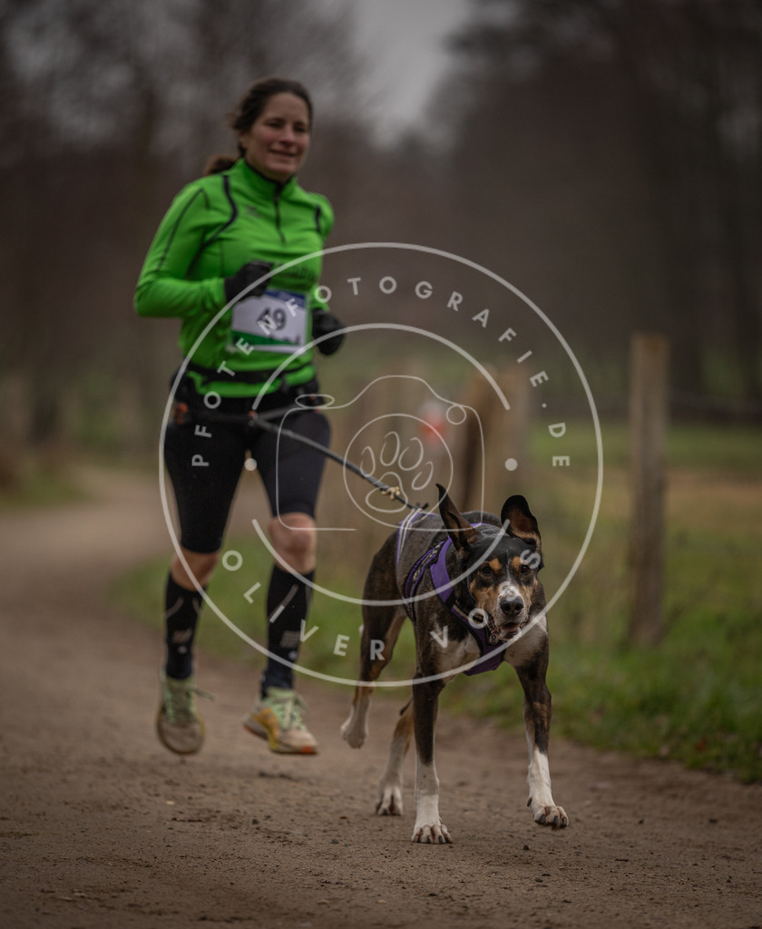 Pfotenfotografie_DV3A2798 | Hundefotografie, Tierfotograf, Pfotenfotografie, Fotoshooting Hund, Hunde Portrait, Hundesport, Hundeportraits, Heideshooting, Hunde, Sportfotograf, Hundefotograf, Turnierhundsport, THS,  - Realisiert mit Pictrs.com