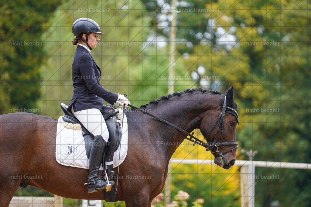 20221008-FAH01590 | Diessen am Ammersee, 2022, Dressur- und Springturnier, Reitsportbilder, Turnierfotografen Bayern, Pferdefotografen, Fotoagentur Herrmann, Turnierbilder