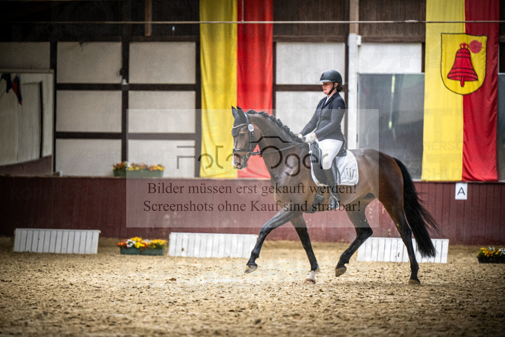 DOS_1335 | Reitturnier Lüdinghausen - Realisiert mit Pictrs.com
