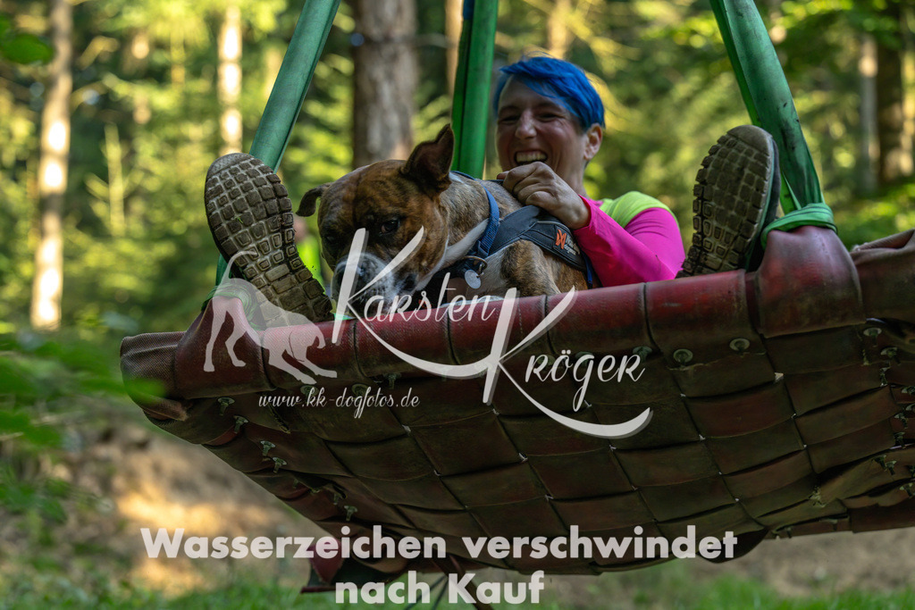 0937_ZZ91308-Bearbeitet | kk-dogfotos