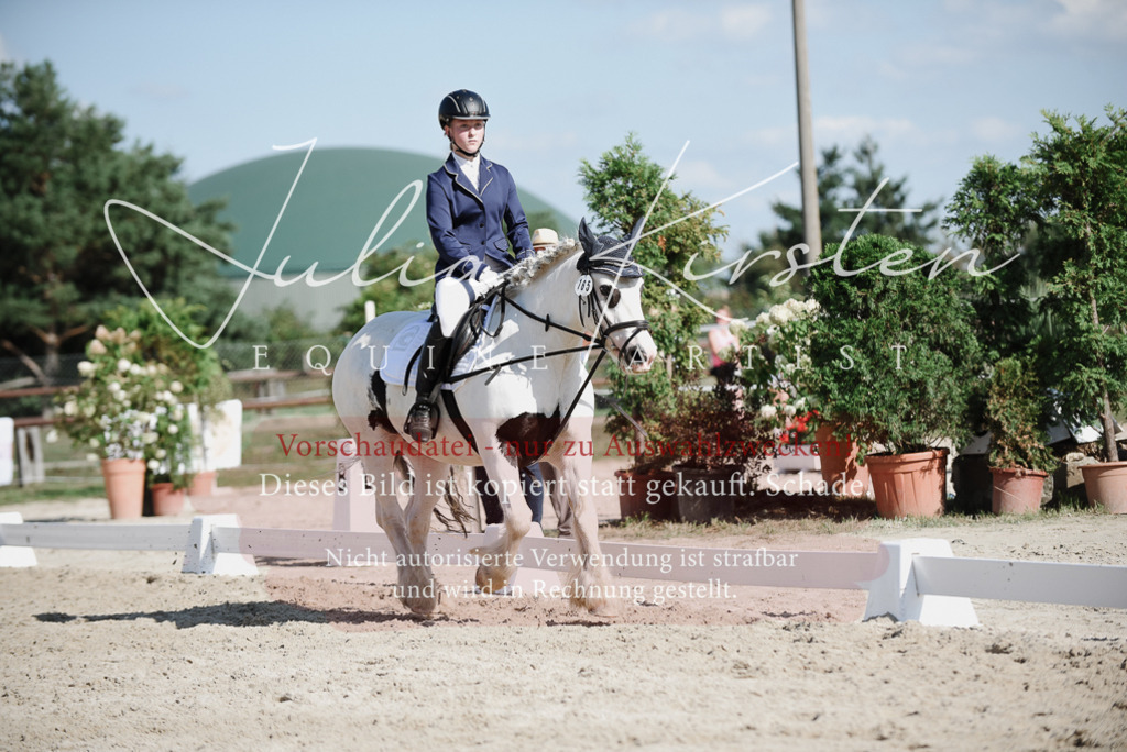 DSC_0150 | Pferde- und Turnierfotografie in Westsachsen. Pferdeportraits, Auftragszeichnungen und intuitive Kunst.