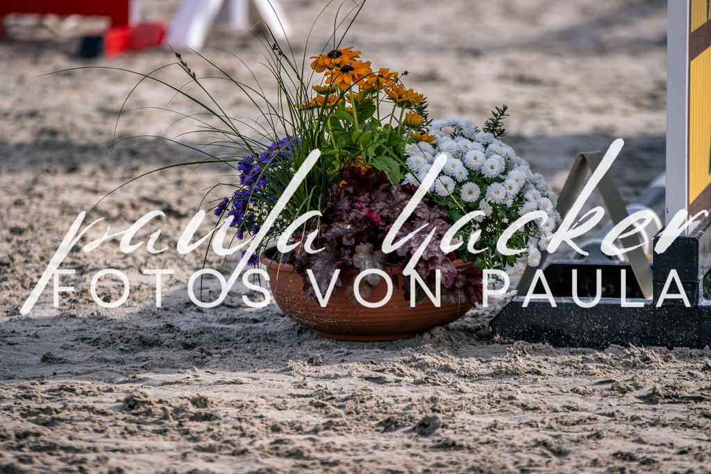 IMG_5472 | Erleben Sie dynamische Sport- und emotionale Tierfotografie in Süddeutschland mit Fotos von Paula. Spezialisiert auf Pferde- und Hundefotografie sowie Sportevents. Kontaktieren Sie mich für einzigartige und ausdrucksstarke Bilder Ihrer besonderen Momente. - Realisiert mit Pictrs.com