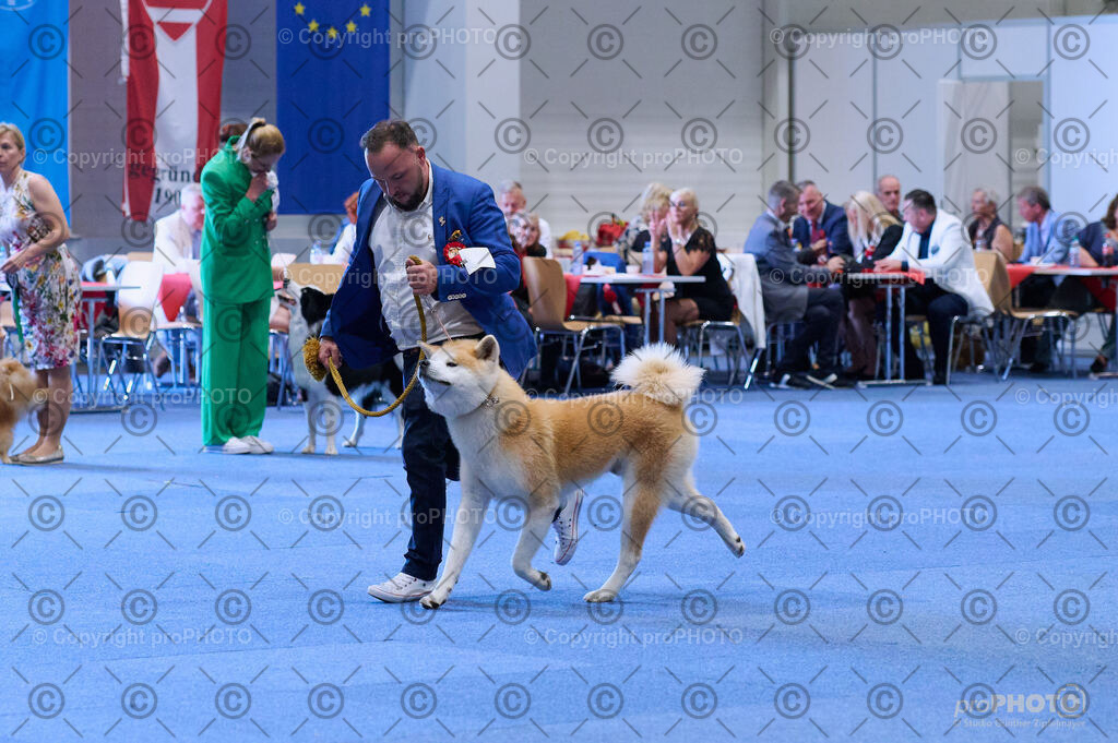 202406_ÖKV-IHA-Tulln24_DSC_3917 | proPHOTO - Realisiert mit Pictrs.com