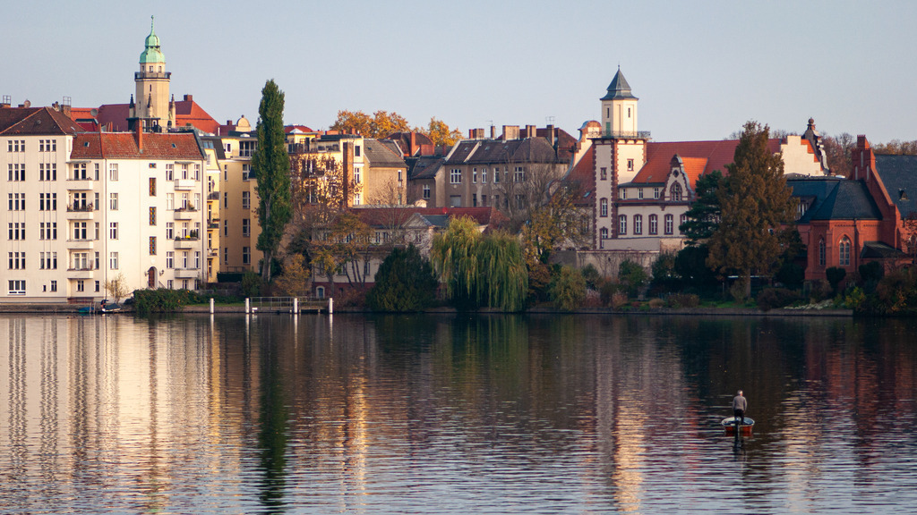 DSC_3802 | kaefersammler_roy - Realisiert mit Pictrs.com