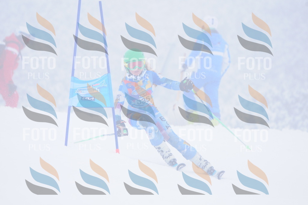 C3585 | holidayphoto