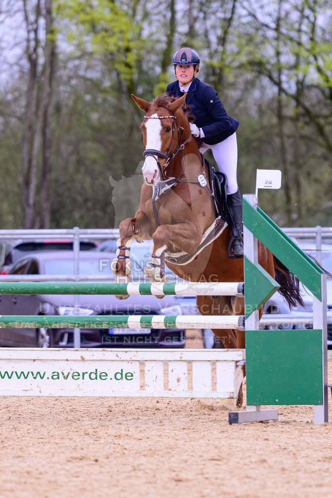 12042026-Mammendorf-Prfg42-0378 | Fokus Hufschlag Fotografie - Realisiert mit Pictrs.com