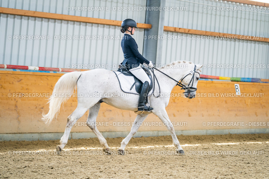 DSC04117 | Pferdegrafie