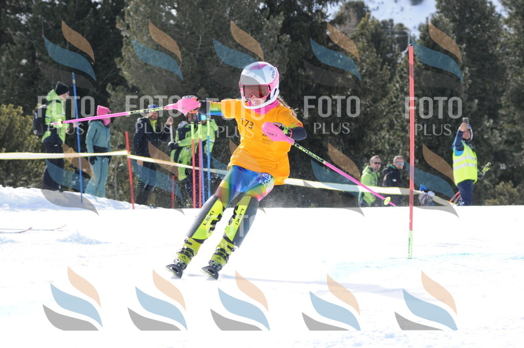 C7396 | holidayphoto