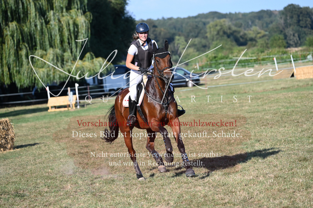DSC_9023 | Pferde- und Turnierfotografie in Westsachsen. Pferdeportraits, Auftragszeichnungen und intuitive Kunst.
