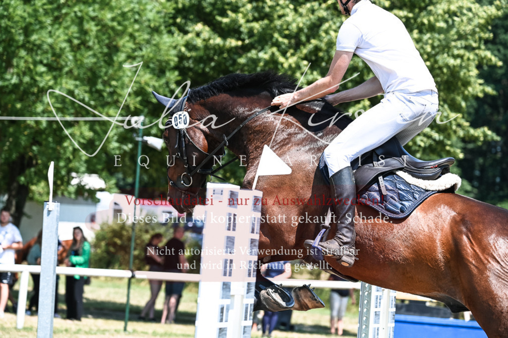 DSC_0457 | Pferde- und Turnierfotografie in Westsachsen. Pferdeportraits, Auftragszeichnungen und intuitive Kunst.