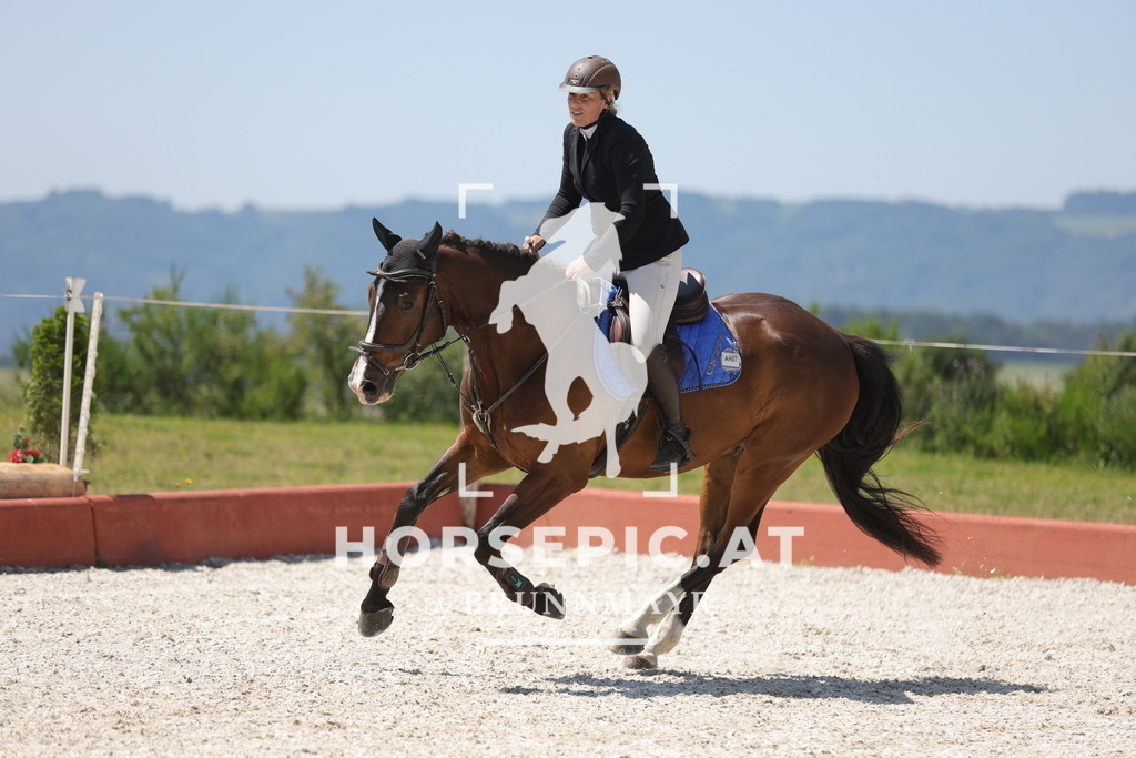 0P6A8701 | Willkommen bei Brunnmayr - Design & Fotografie – Ihrem Spezialisten für Reitturniere und Pferdeveranstaltungen in Oberösterreich, Salzburg und Bayern! Seit über 17 Jahren sind wir leidenschaftlich dabei.