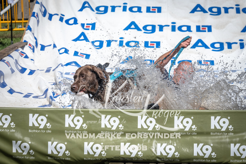 1411_ZZ92887 | kk-dogfotos