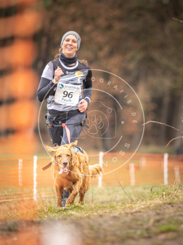 DV3A0546 | Hundefotografie, Tierfotograf, Pfotenfotografie, Fotoshooting Hund, Hunde Portrait, Hundesport, Hundeportraits, Heideshooting, Hunde, Sportfotograf, Hundefotograf, Turnierhundsport, THS,  - Realisiert mit Pictrs.com