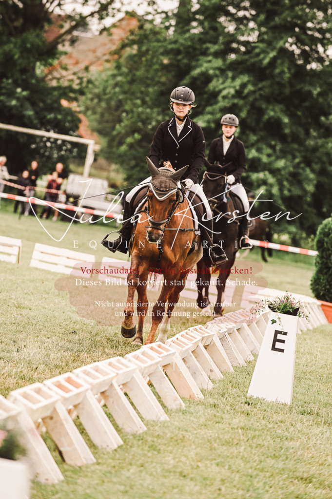 DSC_5169 | Pferde- und Turnierfotografie in Westsachsen. Pferdeportraits, Auftragszeichnungen und intuitive Kunst.