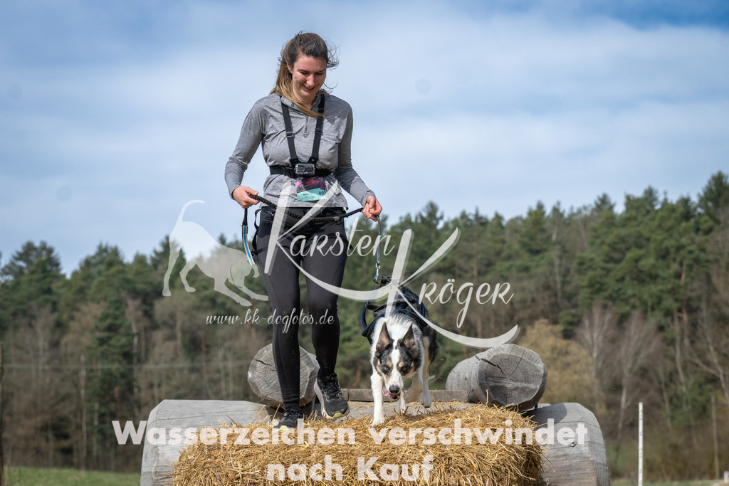 1047_ZZ93749 | kk-dogfotos