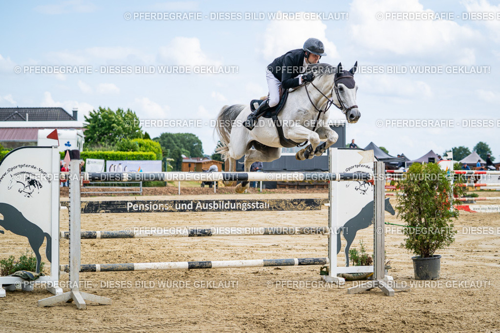 DSC07126 | Pferdegrafie