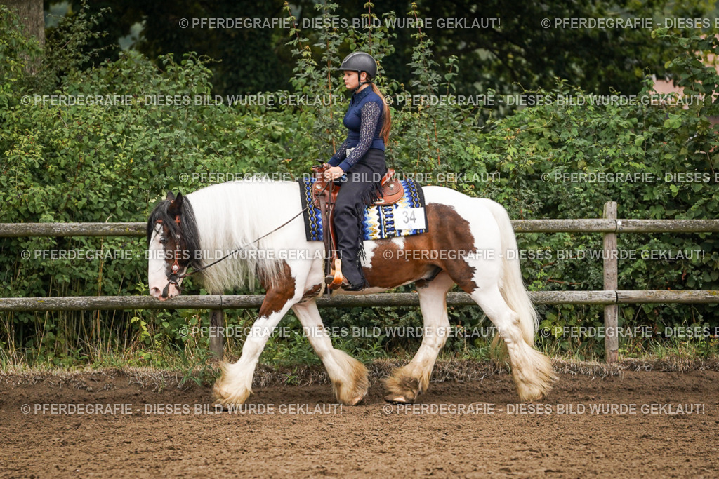 DSC01898 | Pferdegrafie