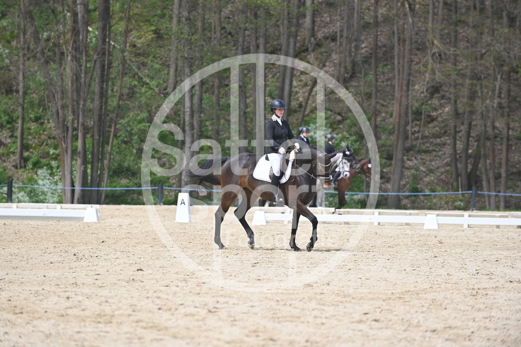 DSC_3093 | sattelsport - Realisiert mit Pictrs.com