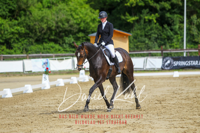 DKP45597 | Turniersportfotografie; Pferdefotografie; Dressurfotografie