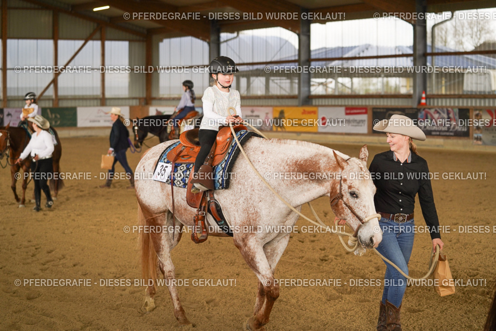 DSC01022 | Pferdegrafie