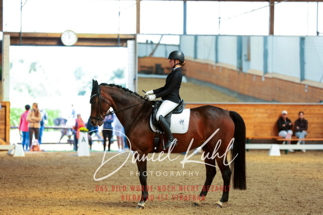 _62_6746 | Turniersportfotografie; Pferdefotografie; Dressurfotografie