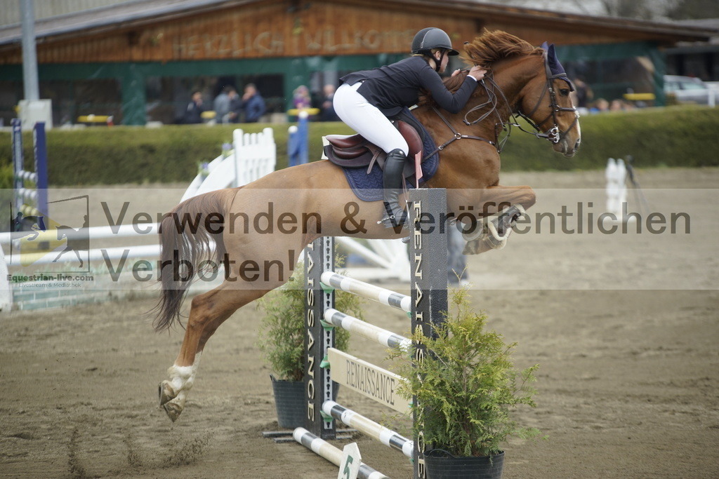 _DSC7310 | equestrian-live-com