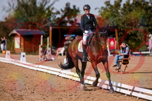 2026_10_03_Siefer-Hof_123142_Z81_30365177 | Professionelle Reitsport-, Turnier- und Eventfotografie von Robert Broda. Galerien mit ausgewählten und bearbeiteten Bildern direkt online ansehen und bestellen.