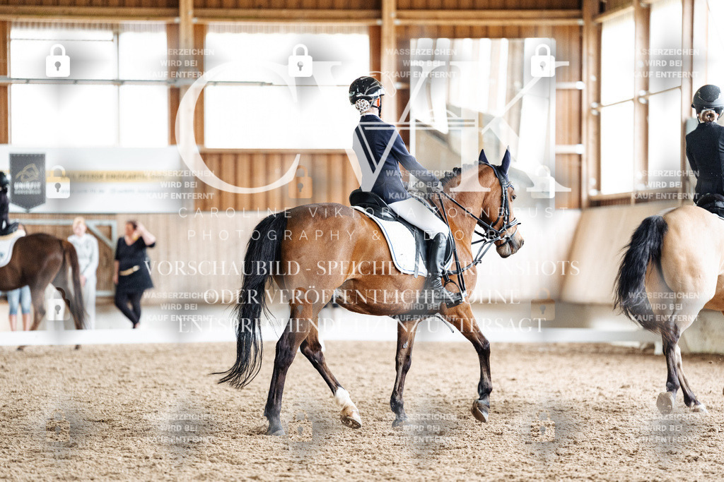 CK901583 | Turnierfotografie Pferdefotografie Trier Rheinland-Pfalz Pferdesport Reitsport Tierfotografie Sportfotografie Pferdevideo Pferdevideografie Equestrianvideography equestrianphotography  - Realisiert mit Pictrs.com
