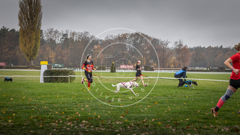 CaniXpix_DV3A8879 | Hundefotografie, Tierfotograf, Pfotenfotografie, Fotoshooting Hund, Hunde Portrait, Hundesport, Hundeportraits, Heideshooting, Hunde, Sportfotograf, Hundefotograf, Turnierhundsport, THS,  - Realisiert mit Pictrs.com
