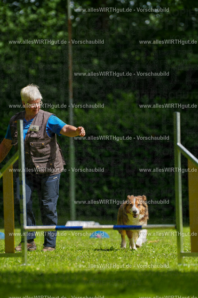 @allesWIRTHgut_Tierfotografie - www.allesWIRTHgut.de - 100532-7R508012 | Professionelle Tierfotografie in Mönchengladbach von Daniel Wirth (allesWIRTHgut). Liebevolle & natürliche Bilder von Hunden & Katzen für unvergessliche Erinnerungen.