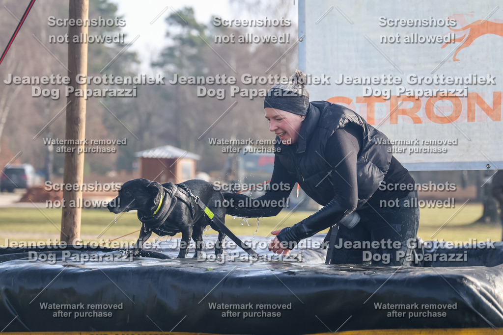 Dog Paparazzi - Strongdog North Mrz26-1 | Dog Paparazzi Jeanette Grottendiek Fotografie & Videografie - Realisiert mit Pictrs.com