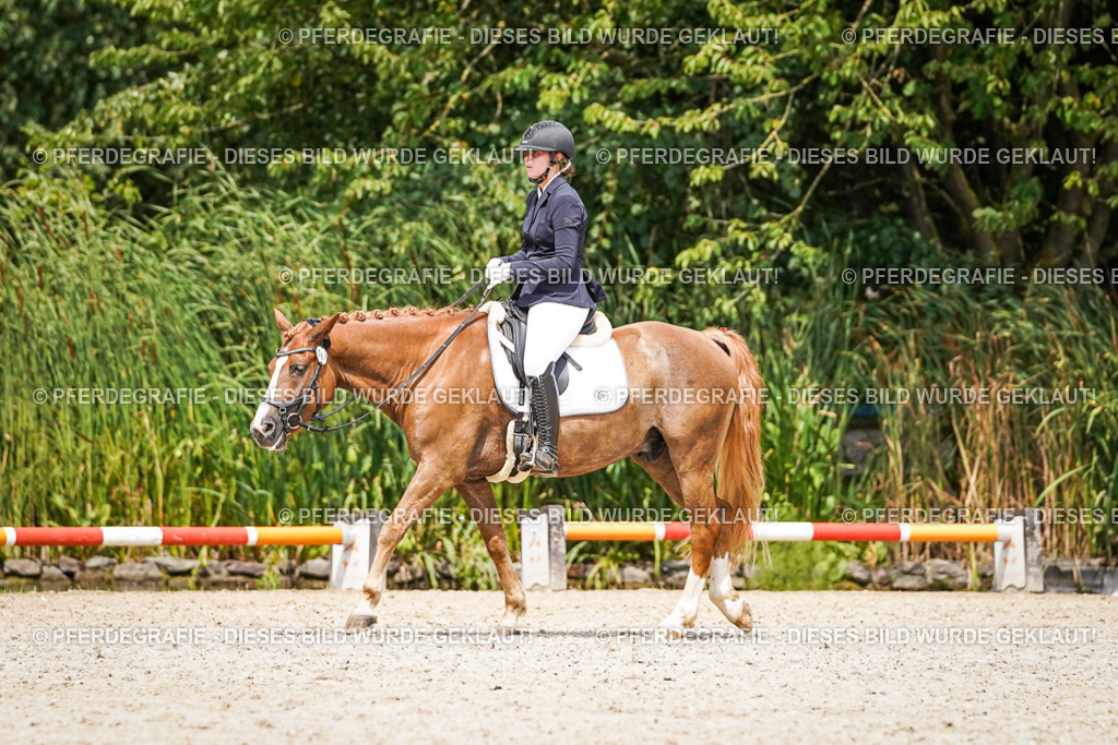 DSC03446 | Pferdegrafie