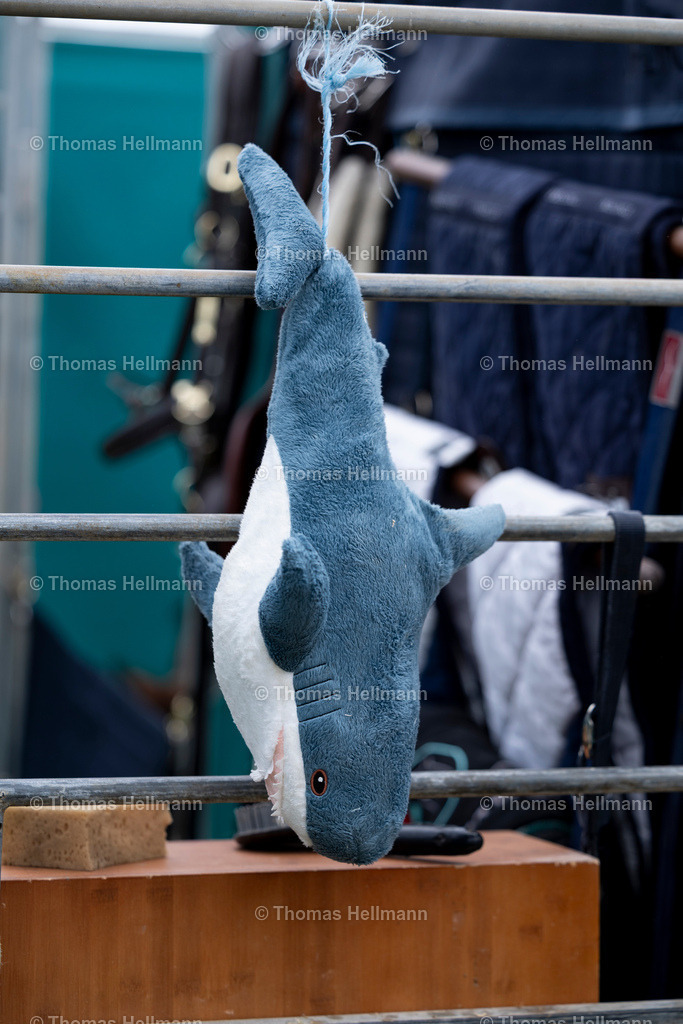 TH_Lucky Charmes_36118 | Horses &amp; Dreams 2026 am 22.04.26 in Hagen a.T.W., Thomas Hellmann, Lucky Charmes