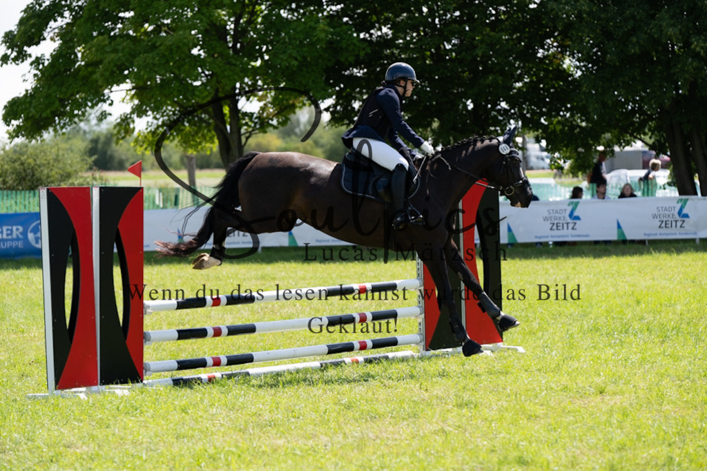 A7V04291 | Pferdefotograf