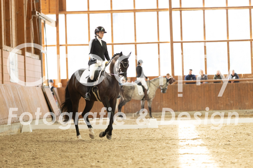 IMG_6116 | Creatify Fotografie