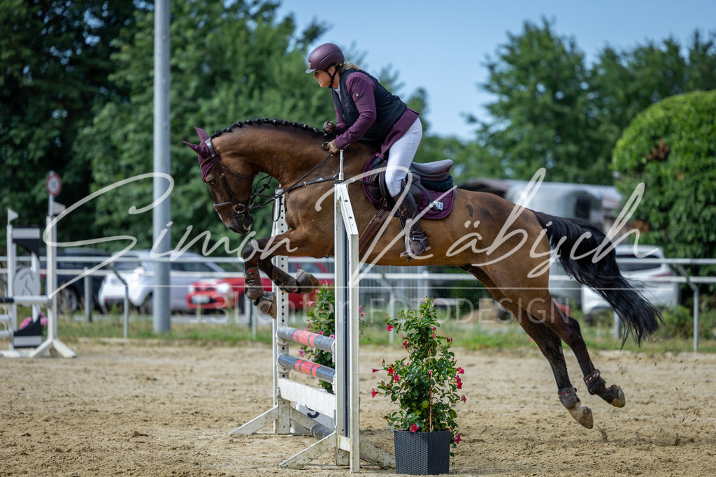 20260704-_3LI6752 | Tierfotografie Pferde, Hunde, Katzen, Haustiere.
Turnierfotografie Reitturniere, Reiten, Springreiten, Dressur in Hanau, dem Main-Kinzig-Kreis und dem Rhein-Main- Gebiet um Frankfurt