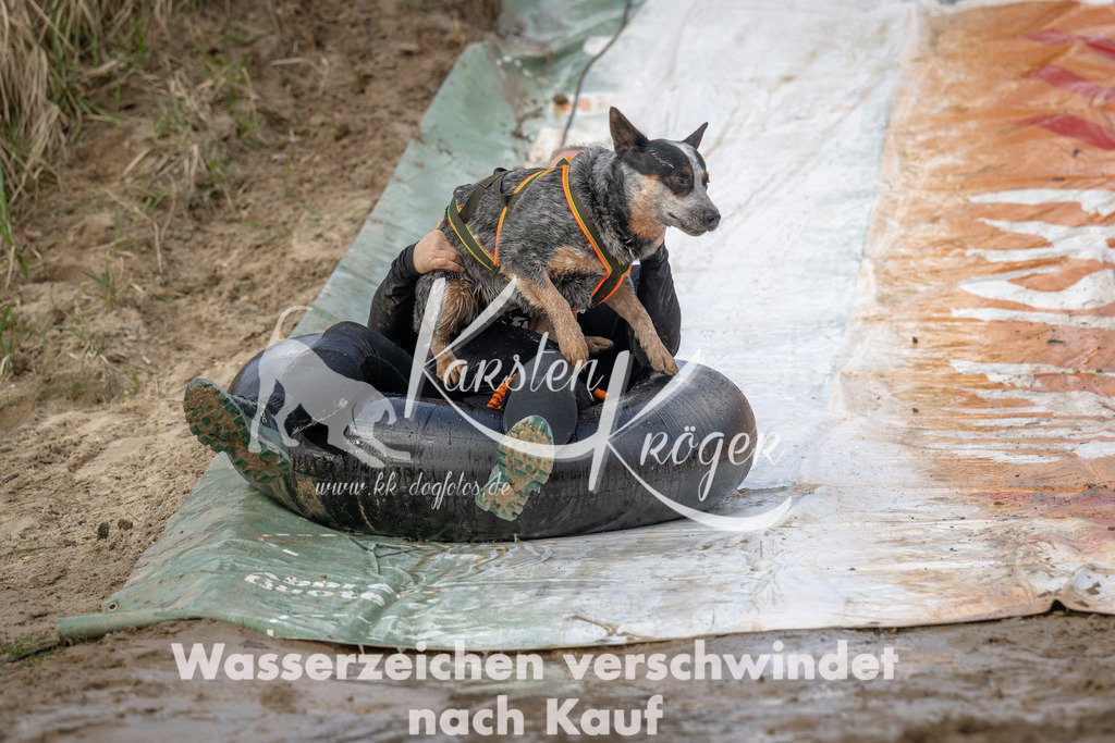 1037_ZZ91091 | kk-dogfotos