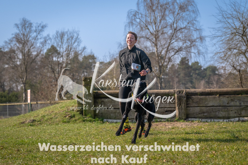 _ZZ94166 | kk-dogfotos