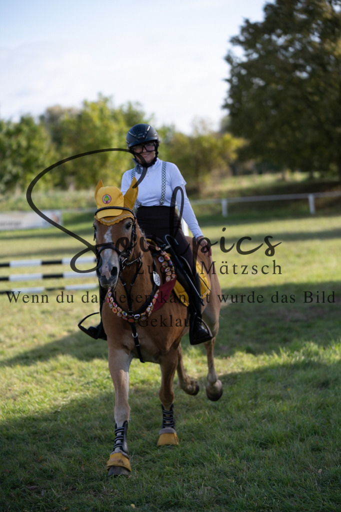 A7V06628 | Pferdefotograf