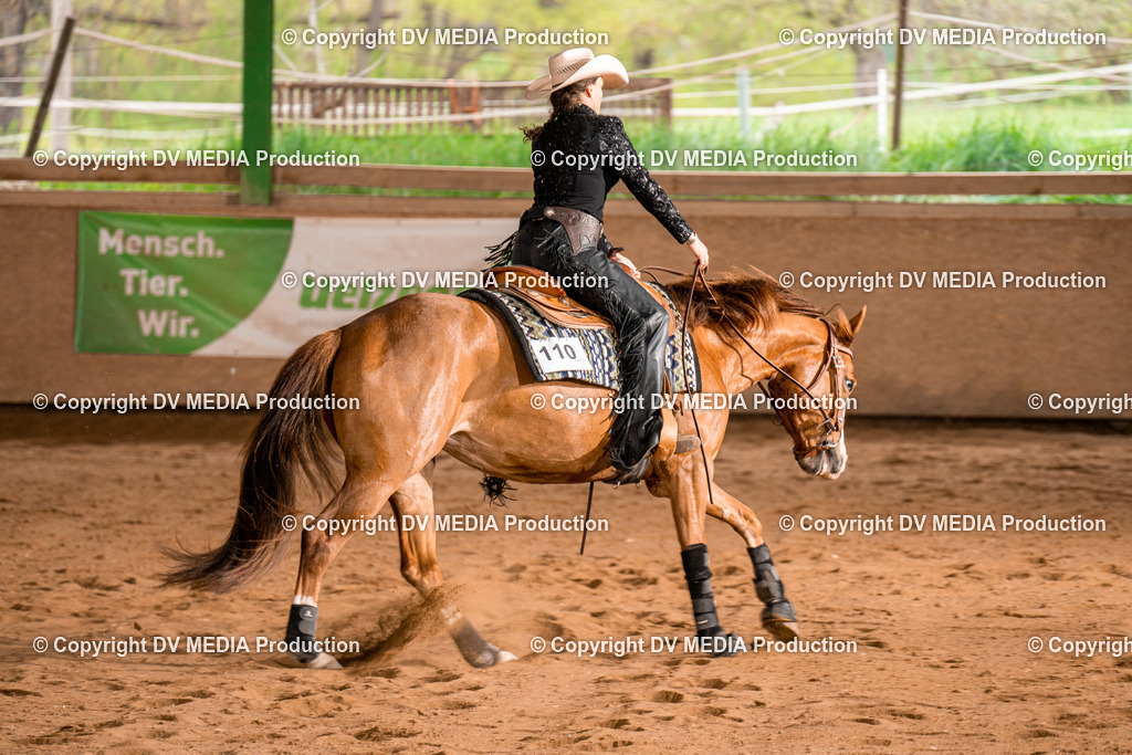 BA400558 | dv-media-shop - Realisiert mit Pictrs.com