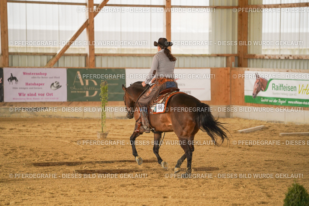 DSC04627 | Pferdegrafie