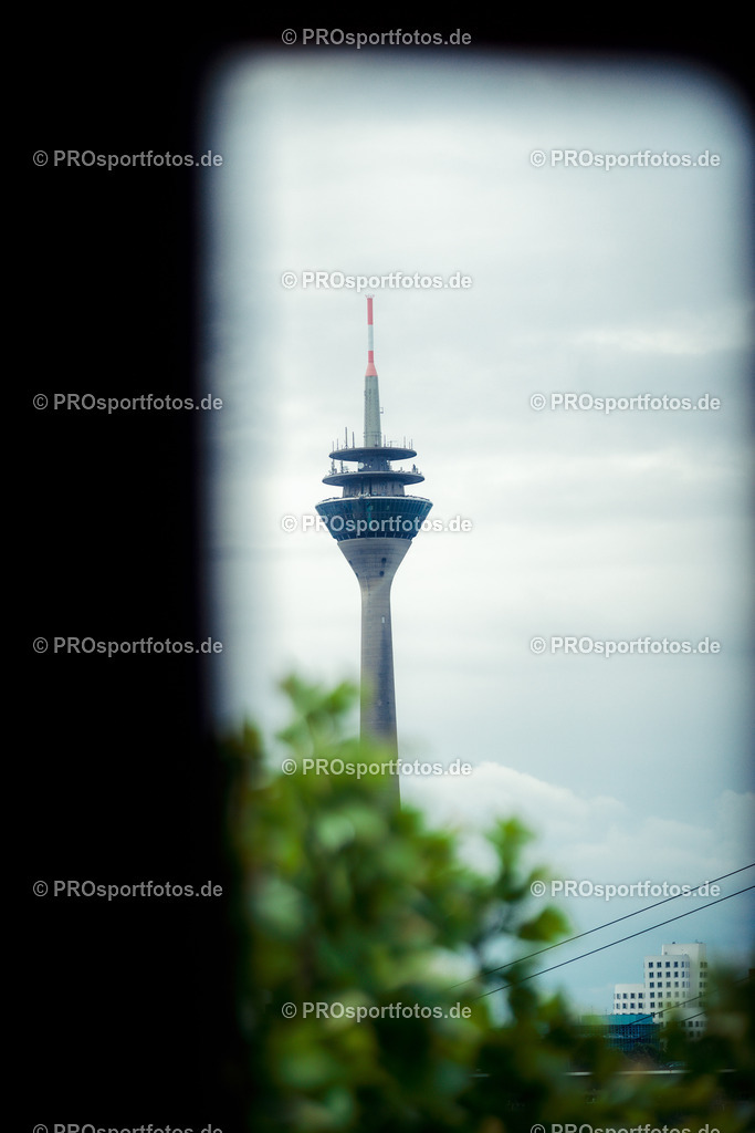 Brückenlauf, 17.05.2026 | am 17.05.2026 bei SPARDA-BANK Brückenlauf in Düsseldorf